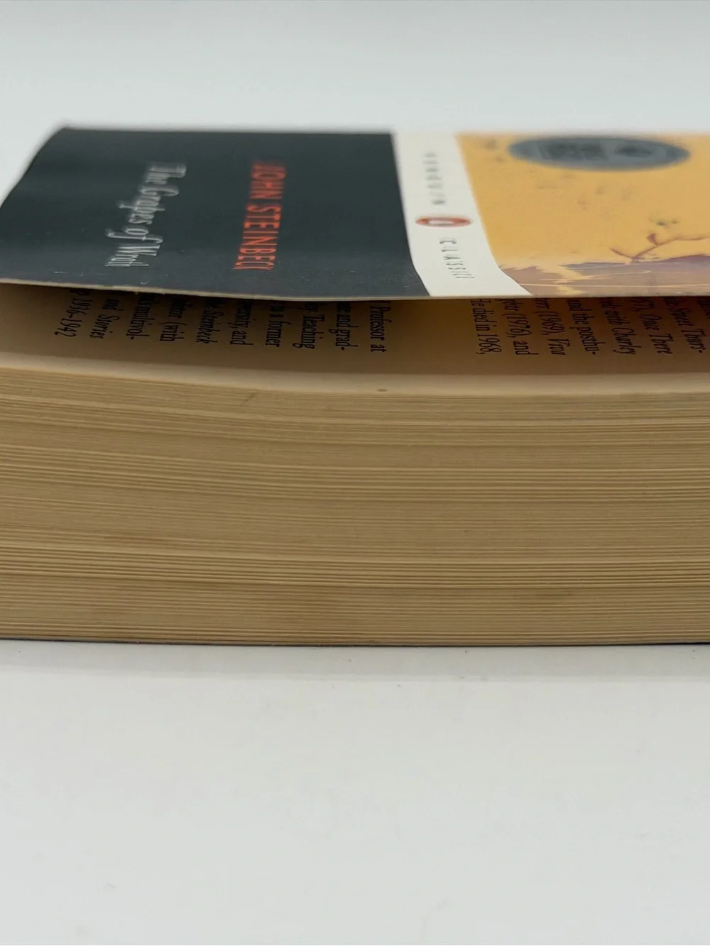 The Grapes of Wrath by John Steinbeck (Paperback Book, 2006)